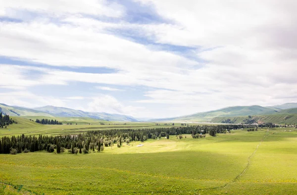 Una Hermosa Vista Del Campo Hierba Verde Con Árboles Montañas — Foto de Stock