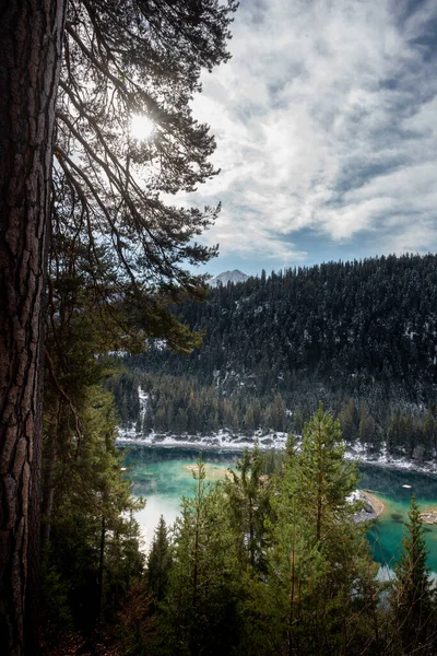 Eine Vertikale Nahaufnahme Foto Bäume Und Natur Caumasee Bei Flims — Stockfoto
