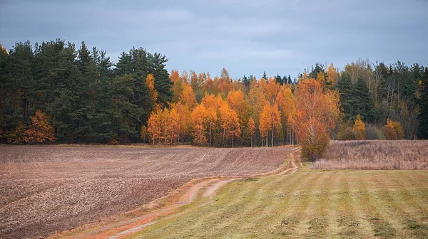 Sonbahar Boyunca Tarlanın Manzaralı Bir Manzarası — Stok fotoğraf