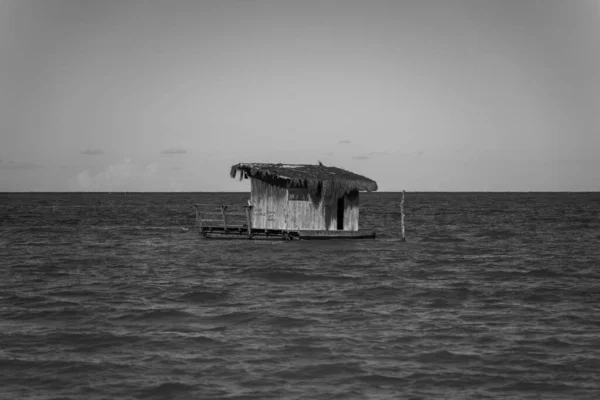 Grayscale Shot Sea Wooden Small House Middle — Stock Photo, Image