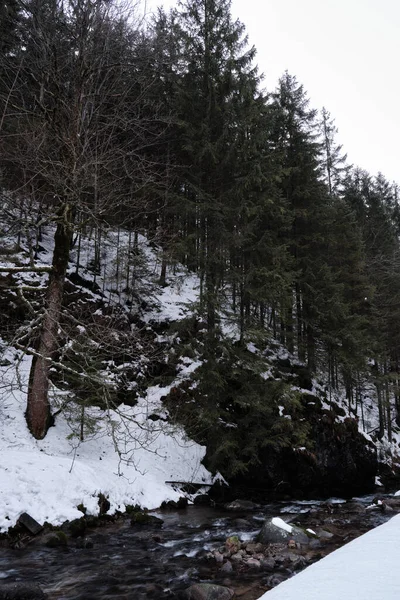 雪融化在河边时 山和树的垂直镜头 — 图库照片