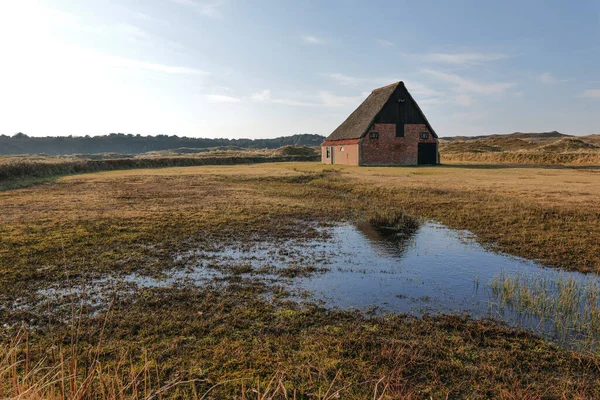 Hollanda Daki Texel Adası Nda Koog Yakınlarında Eski Bir — Stok fotoğraf