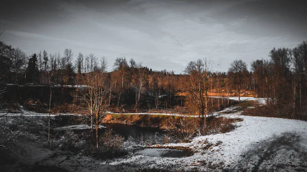 Piękny Śnieżny Widok Lesie — Zdjęcie stockowe