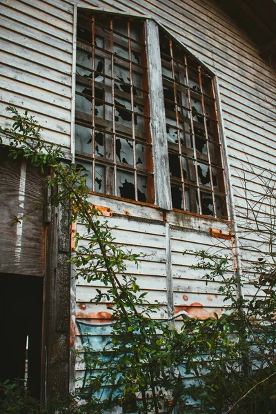 Tiro Vertical Urbex Abandonado — Fotografia de Stock