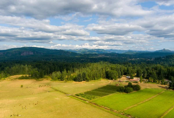 Une Vue Panoramique Sur Mont Rainier Dans État Washington Par — Photo