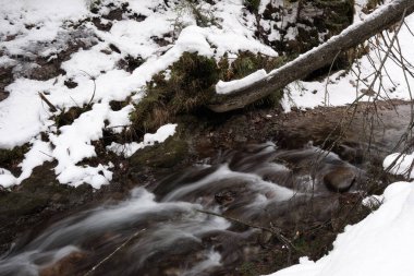 Dağ nehrinin güzel bir akışı, hızlı akan su, kayalar ve karla.