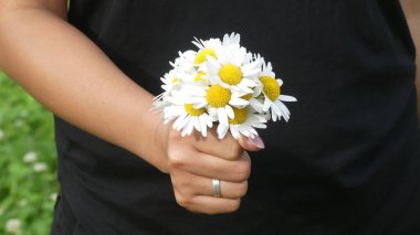 Beyaz çiçeklerin yakın plan çekimi.