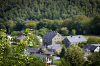 Binanın arka planındaki bir ağacın yakın plan görüntüsü.