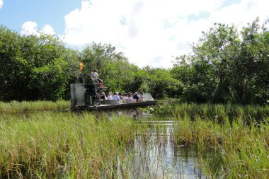 Florida Everglades 'teki bataklık tekne turuna çıkan insanlarla aydınlık bir yaz günü.