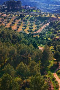 Gündüz vakti İspanya 'nın Toledo kentindeki ormanların ve ekili parkların dikey görüntüsü.