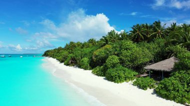 Mavi, sakin bir deniz manzarası ve yeşil doğayla kaplı bir sahil ve Maldivler 'de bir pavyon.