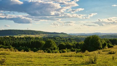 Güzel bir tarla manzarası ve gökyüzünde güneşli bulutlar