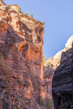 ABD 'deki Zion Ulusal Parkı' nda Virgin Nehri Narrows 'un dikey çekimi.