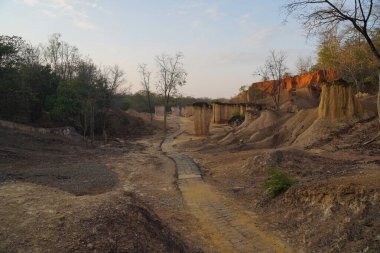 Sonbahar havasında ormana giden uzun bir yürüyüş yolu..
