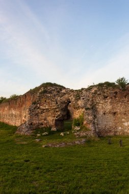 Mavi gökyüzü arka planında kırsal bir alanda kayalık bir uçurumun dikey görüntüsü