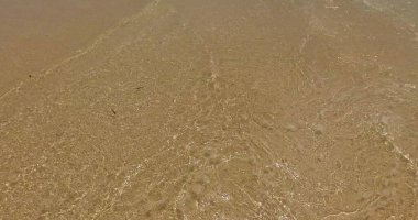 Maldivler sahilindeki ıslak kum.