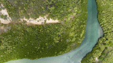 Yeşil bir manzaranın ortasındaki güzel bir nehrin havadan görünüşü.