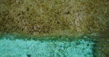 Asya 'da güneşli bir günde sakin bir denizin güzel manzarası.