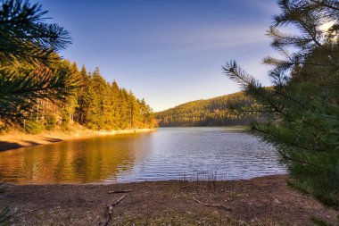 Almanya 'daki Thüringen Ormanı' nın doğal bir manzarası. Güneş ışınlarının sıcaklığını alan bir göl.