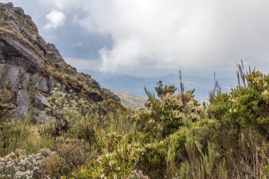 Güneşli bir günde mavi bulutlu gökyüzünün altında Kolombiya And Dağları 'nın güzel panoramik manzarası