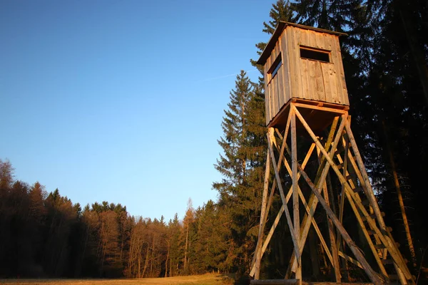 A low angle shot of a wooden hunting blind in the forest
