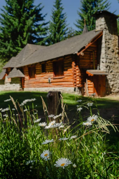 美しい庭と新鮮なデイジーの花を持つ木造の家の垂直ショット — ストック写真