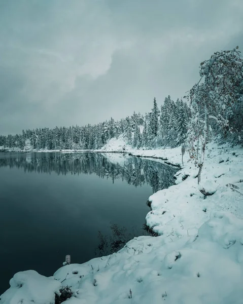 Uma Paisagem Vertical Inverno Com Árvores Nevadas Costa — Fotografia de Stock