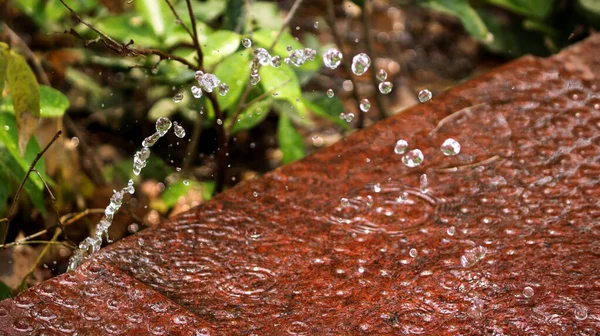 Enfoque Selectivo Gotas Agua Goteando Suelo —  Fotos de Stock