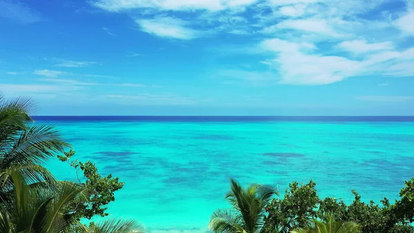 Uma Vista Panorâmica Água Azul Turquesa Com Recifes Coral Árvores — Fotografia de Stock