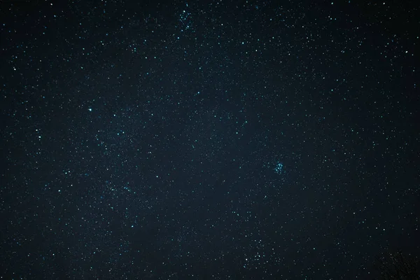 Вид Звезды Млечный Путь Полночь Мрачными Деревьями — стоковое фото