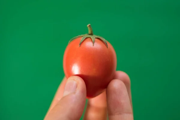 緑の背景に小さな赤い熟したトマトを保持する手のクローズアップ — ストック写真