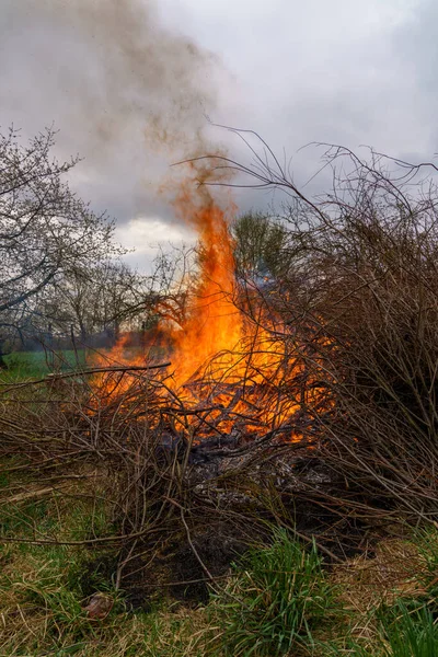 森の中で燃える木片と枝のショット — ストック写真