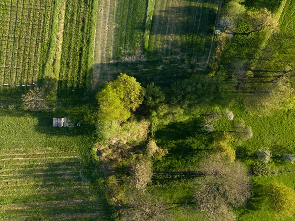 Een Luchtfoto Van Een Groen Veld Het Platteland Ideaal Voor — Stockfoto