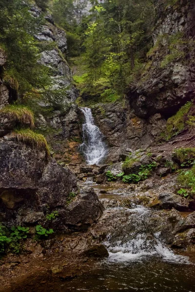 Una Hermosa Toma Cascada Pequeña Eslovaquia — Foto de Stock