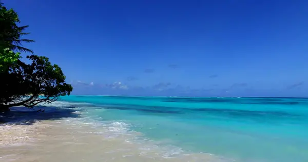 Una Hermosa Vista Una Playa Con Árboles Día Soleado Verano — Foto de Stock