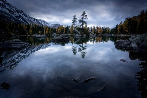 Ein Malerischer Blick Auf Den See Lago Saoseo Umgeben Von — Stockfoto