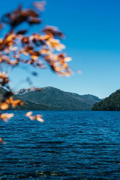 Uma Vista Panorâmica Vertical Lago Azul Claro Com Folhas Borradas — Fotografia de Stock