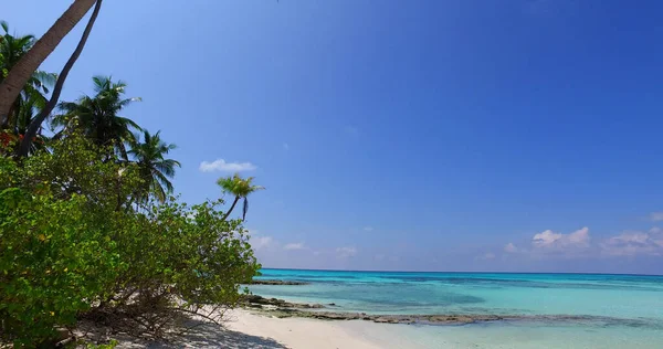 Una Vista Fascinante Costa Con Árboles Tropicales Asia — Foto de Stock