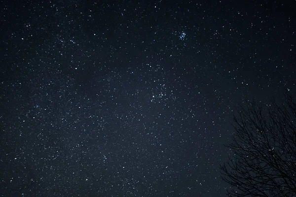 Вигляд Зірок Чумацького Шляху Опівночі Похмурими Деревами — стокове фото