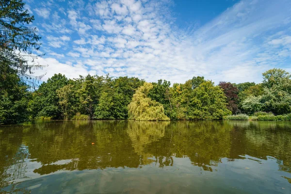 Vacker Bild Frodiga Träd Reflekterar Ett Grönt Vatten Blå Molnig — Stockfoto