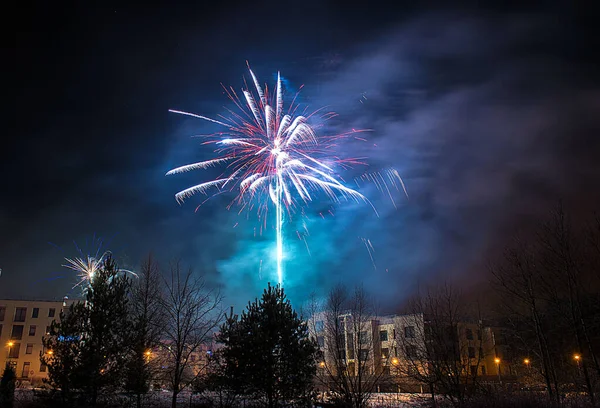 Uma Bela Exibição Fogos Artifício Céu Escuro Riga Letônia Durante — Fotografia de Stock