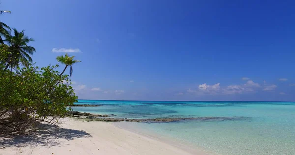 Ein Schöner Blick Auf Einen Strand Mit Palmen Einem Sonnigen — Stockfoto