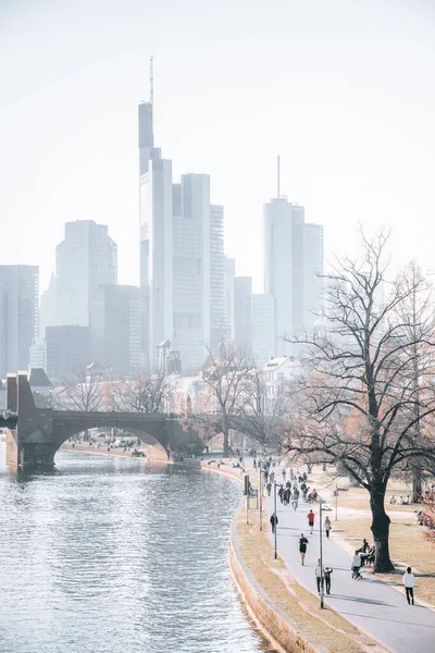 Pionowy Widok Park Ludźmi Pobliżu Jeziora Metropolii Miasta Frankfurt — Zdjęcie stockowe