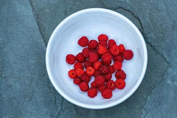 Die Frischen Himbeeren Einer Schüssel — Stockfoto