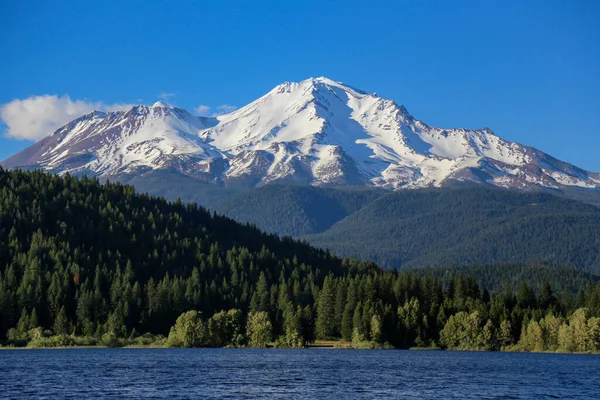 Ağaç kaplı tepeler ve bir su kütlesiyle Shasta Dağı 'nın manzarası.