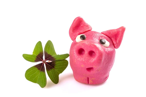 Cerdo Afortunado Trébol Verde Afortunado Aislado Sobre Fondo Blanco —  Fotos de Stock