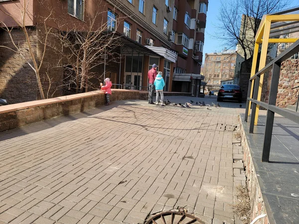 Baba savaş sırasında genç kızlarıyla kuşları beslemek için zaman buluyor. Kyiv, Ukrayna.