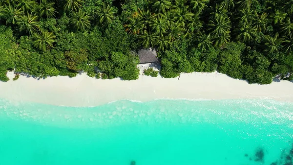 Una Vista Aérea Una Casa Isla Cubierta Vegetación Contra Mar — Foto de Stock