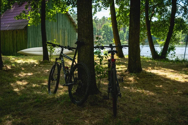 Två Cyklarna Parkerade Vid Träden Framför Sjön Sommardag — Stockfoto