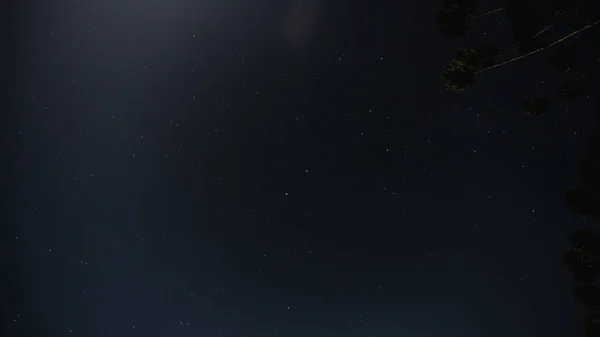 星の空の長い露出の低角度ショット — ストック写真